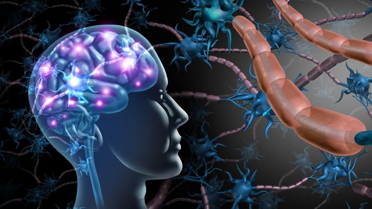 supplements Protecting Brain Cells from Damage